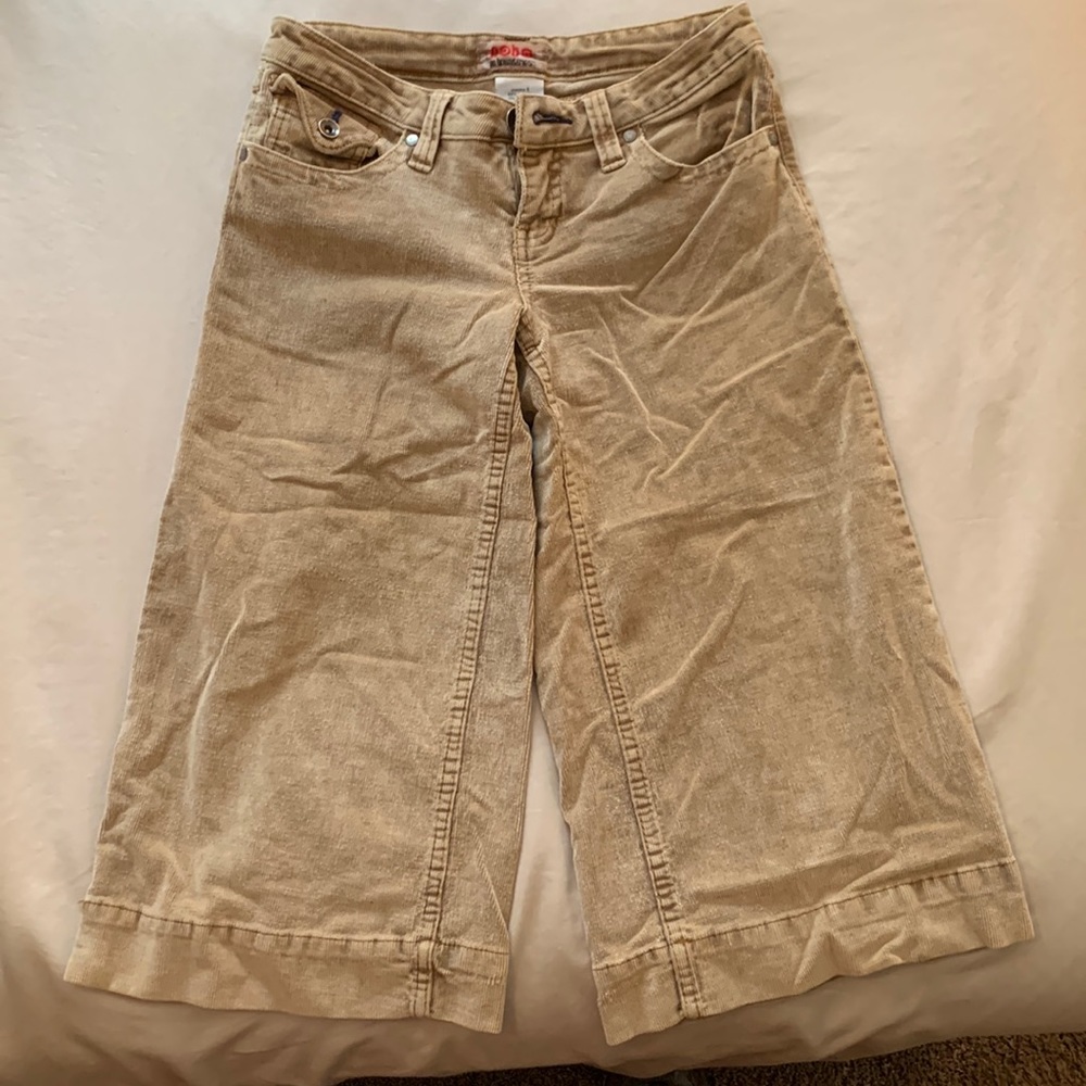 NoBo ( no boundaries ) juniors shorts